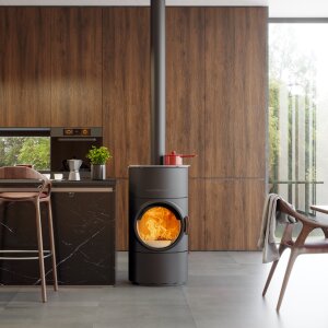 Kaminofen Austroflamm Clou Compact Cook mit Gusskochplatte 6 kW