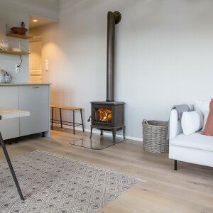 Kaminofen J&oslash;tul F 100 Eco 2 LL Gusseisen 4,9 kW