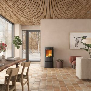 TermaTech Kaminofen TT21R A-Flame Serie mit 5 kW - verschiedene Ausführungen
